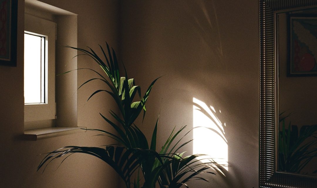 Ramen decoreren met botanische motieven voor herfstfrisheid