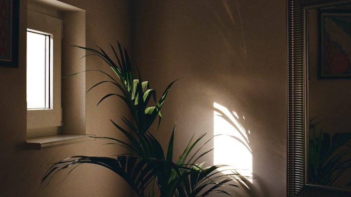 Ramen decoreren met botanische motieven voor herfstfrisheid