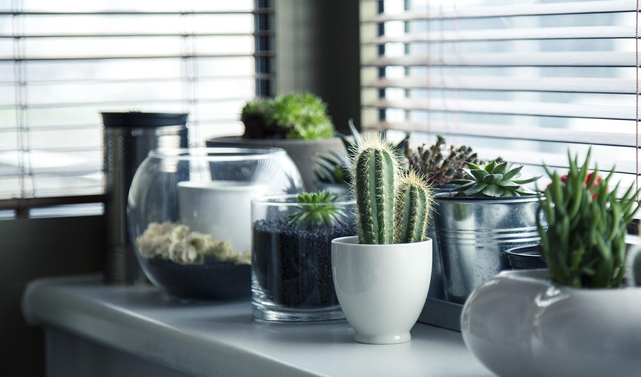 Groene statementmuur met planten motief en houten vloer. Groene statementmuur met planten motief en houten vloer.