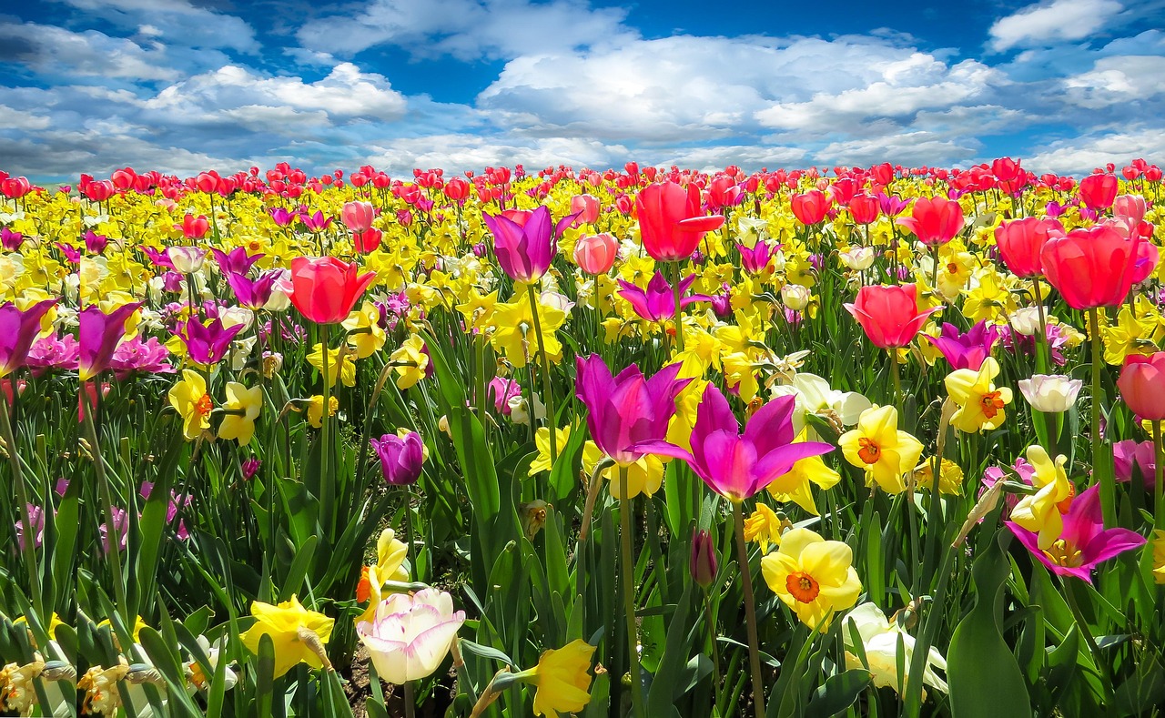 Heldere pastelkleuren voor de lente van 2027 Heldere pastelkleuren voor de lente van 2027